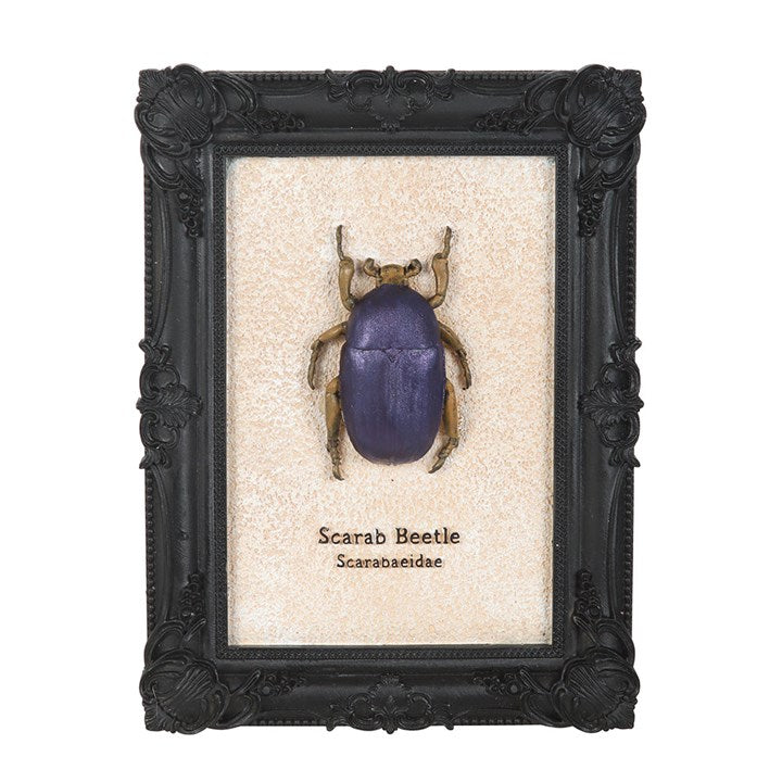Scarab Beetle Framed Wall Art Print - Inspired Creative Gifts