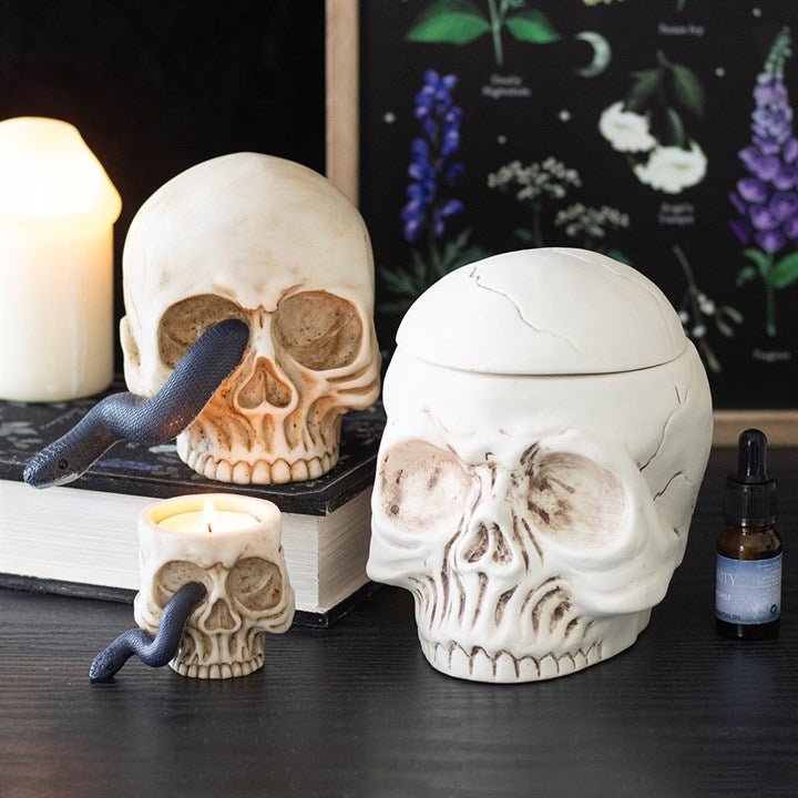 Skull Ornament with Snake | Inspired Creative Gifts | UK Supplier