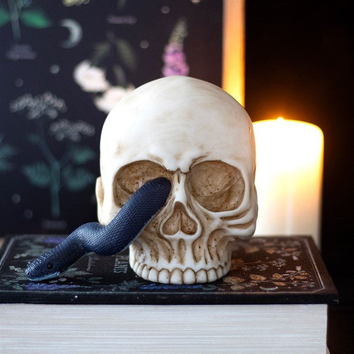 Skull Ornament with Snake | Inspired Creative Gifts | UK Supplier