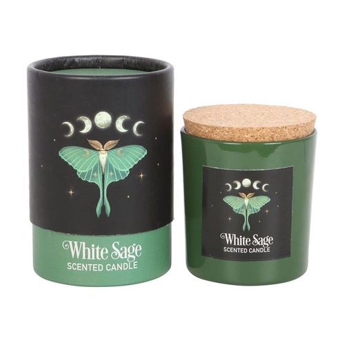 Luna Moth White Sage Candle - Candles - Inspired Creative Gifts