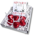 Merry & Bright Christmas Mini Gift Hamper with Silver Star Earrings | Mother's Day Gift