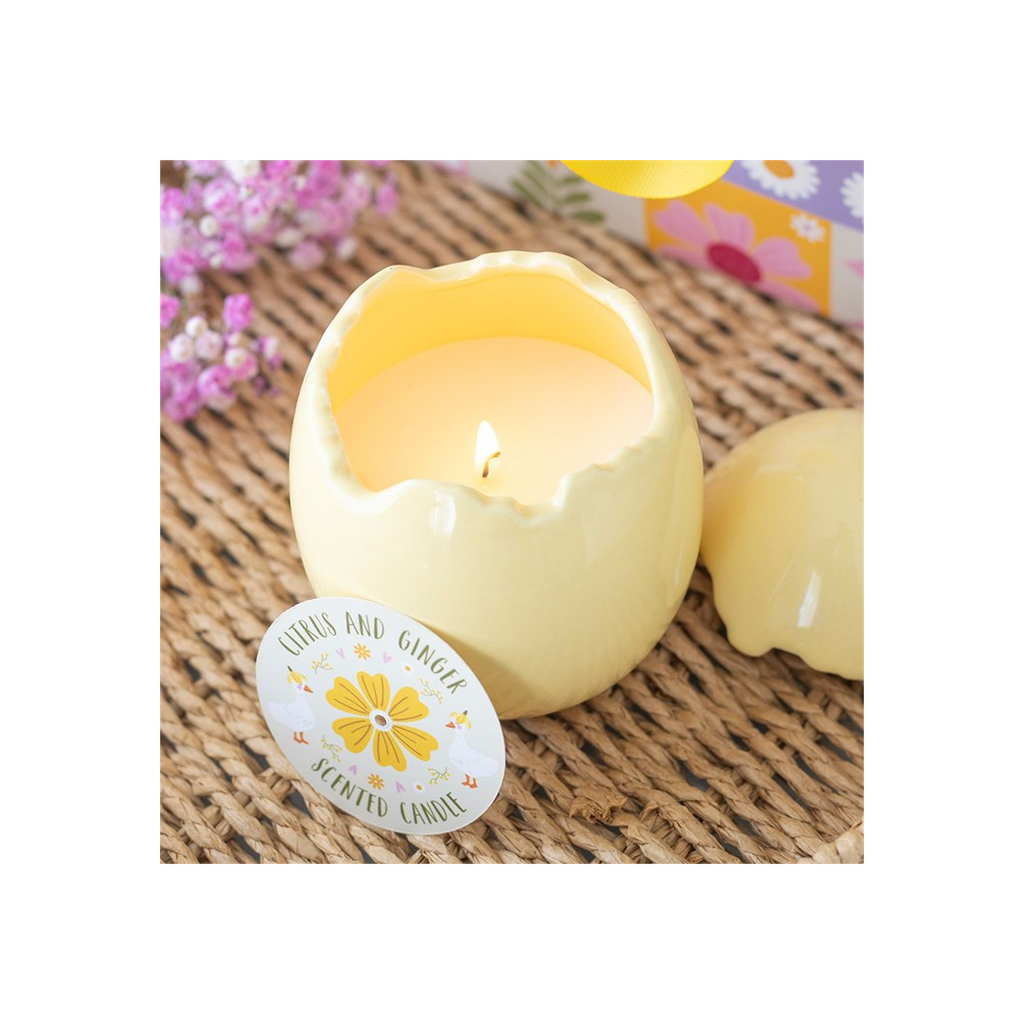 Citrus & Ginger Egg Shaped Candle | Candles | Inspired Creative Gifts