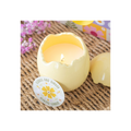 Citrus & Ginger Egg Shaped Candle | Candles | Inspired Creative Gifts
