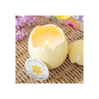 Citrus & Ginger Egg Shaped Candle | Candles | Inspired Creative Gifts