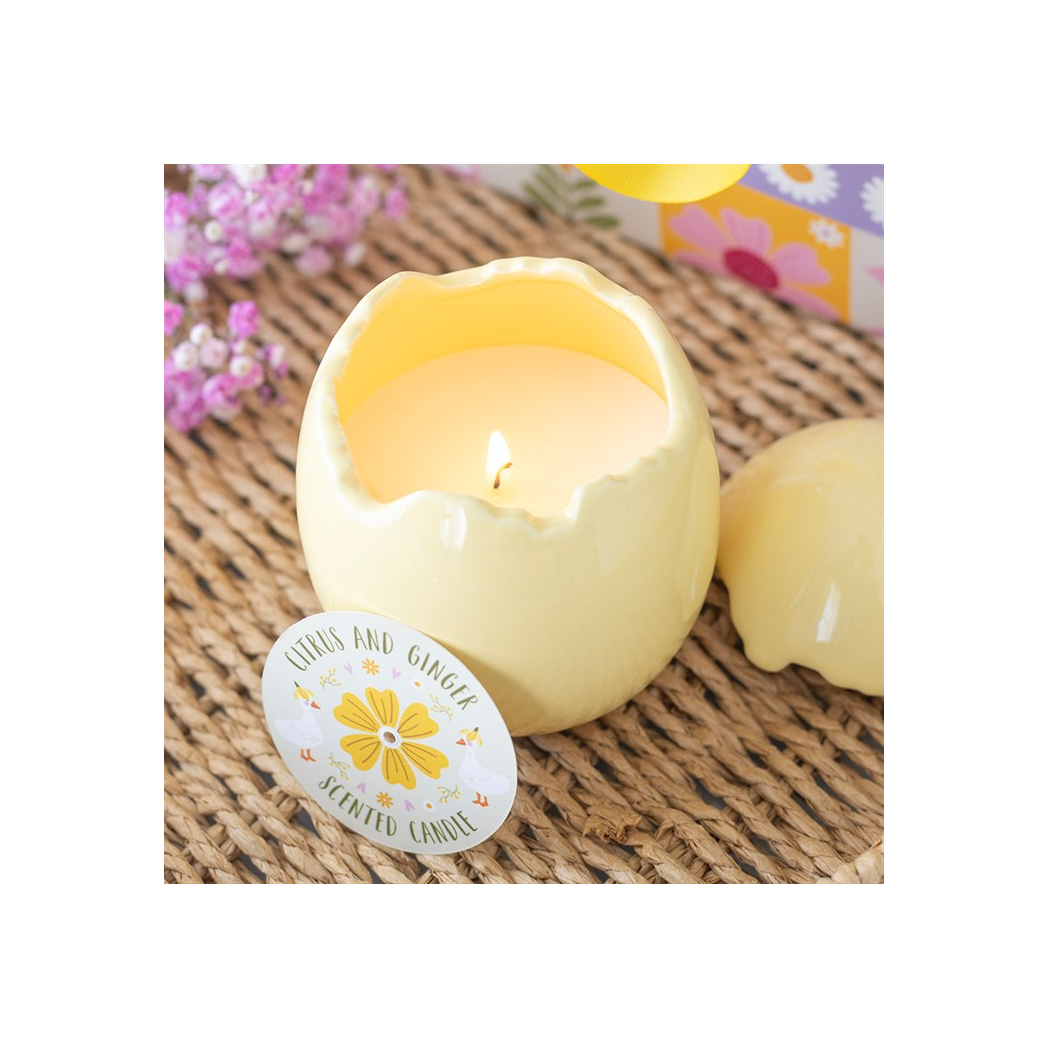 Citrus & Ginger Egg Shaped Candle | Candles | Inspired Creative Gifts