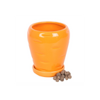 Carrot Shaped Plant Pot with Parsley Seed Balls