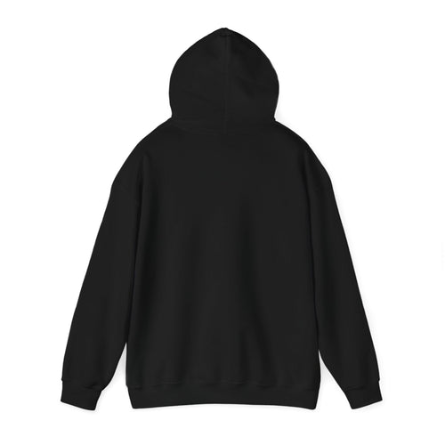 'Just for the Record' Men's Hoodie