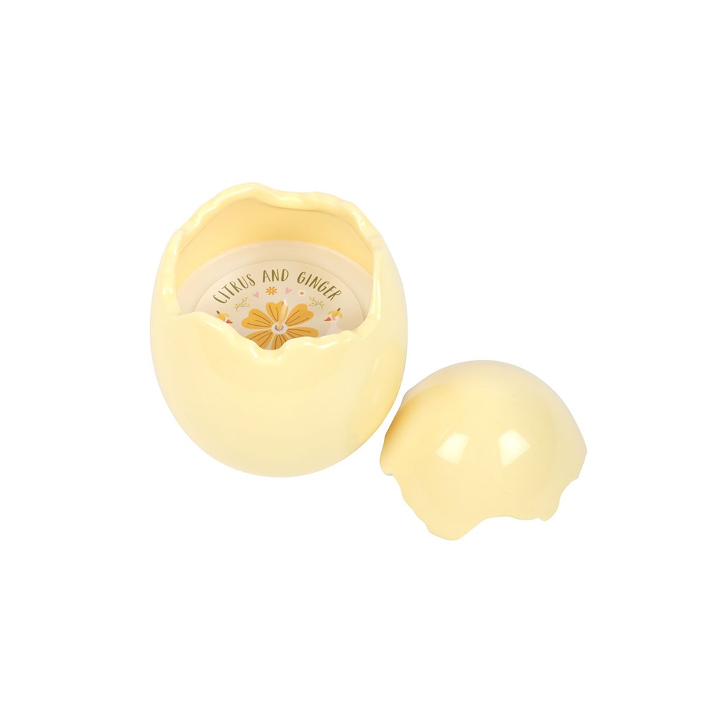 Citrus & Ginger Egg Shaped Candle | Candles | Inspired Creative Gifts