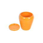 Carrot Shaped Plant Pot with Parsley Seed Balls
