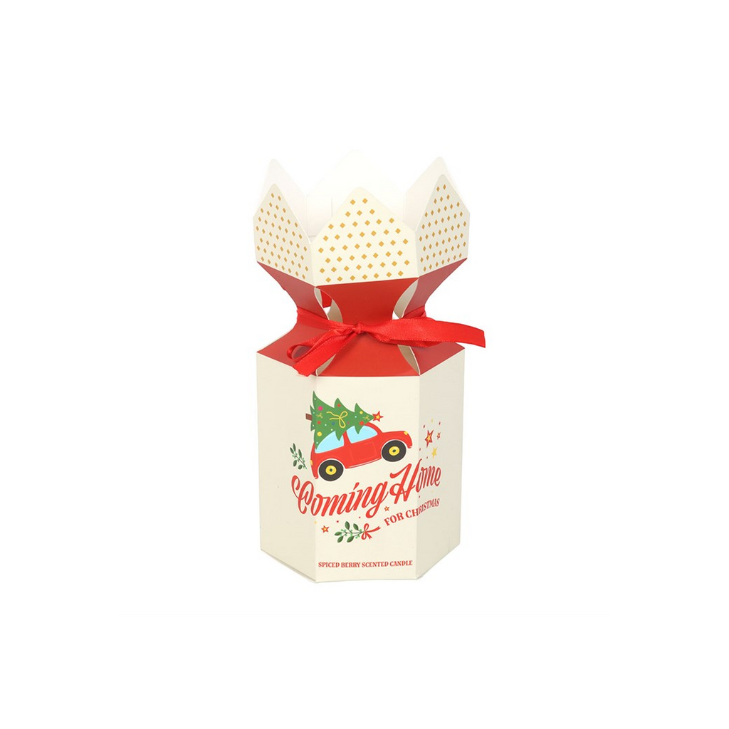 Coming Home for Christmas Spiced Berry Candle | Candles