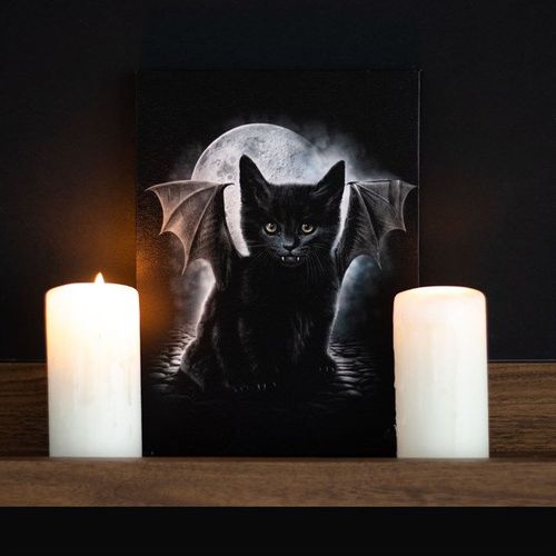 19x25cm Bat Cat Canvas Plaque by Spiral Direct | Inspired Creative Gifts | UK Supplier
