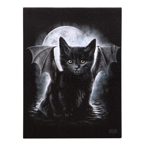 19x25cm Bat Cat Canvas Plaque by Spiral Direct | Inspired Creative Gifts | UK Supplier