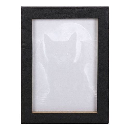 19x25cm Bat Cat Canvas Plaque by Spiral Direct | Inspired Creative Gifts | UK Supplier