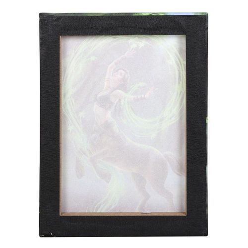 19x25cm Earth Element Sorceress Canvas Plaque by Anne Stokes | Inspired Creative Gifts | UK Supplier