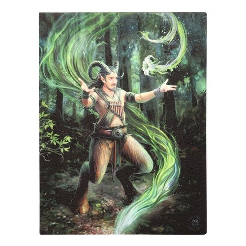 19x25cm Earth Element Wizard Canvas Plaque by Anne Stokes | Inspired Creative Gifts | UK Supplier