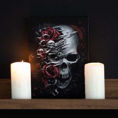 19x25cm Skulls n Roses Canvas Plaque by Spiral Direct | Inspired Creative Gifts | UK Supplier