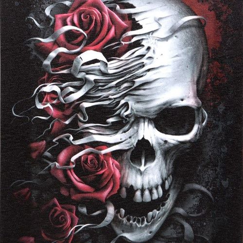 19x25cm Skulls n Roses Canvas Plaque by Spiral Direct | Inspired Creative Gifts | UK Supplier