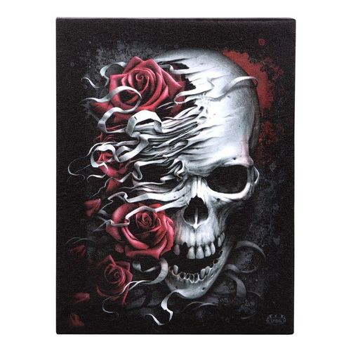 19x25cm Skulls n Roses Canvas Plaque by Spiral Direct | Inspired Creative Gifts | UK Supplier