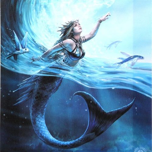 19x25cm Water Element Sorceress Canvas Plaque by Anne Stokes | Inspired Creative Gifts | UK Supplier