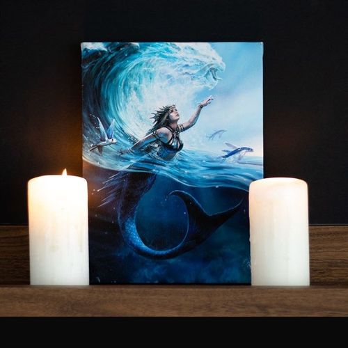19x25cm Water Element Sorceress Canvas Plaque by Anne Stokes | Inspired Creative Gifts | UK Supplier