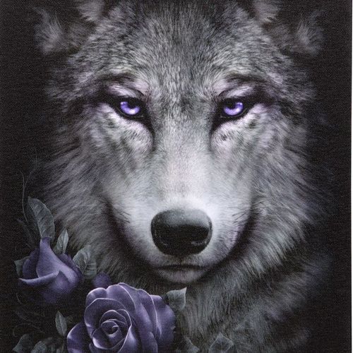 19x25cm Wolf Roses Canvas Plaque by Spiral Direct | Inspired Creative Gifts | UK Supplier
