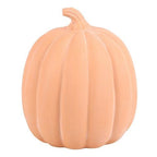 22cm Terracotta Pumpkin Ornament | Inspired Creative Gifts | UK Supplier