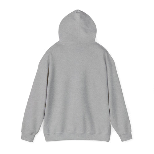 'Money Can't Buy Happiness, But It Can Buy Vinyl' Men's Hoodie