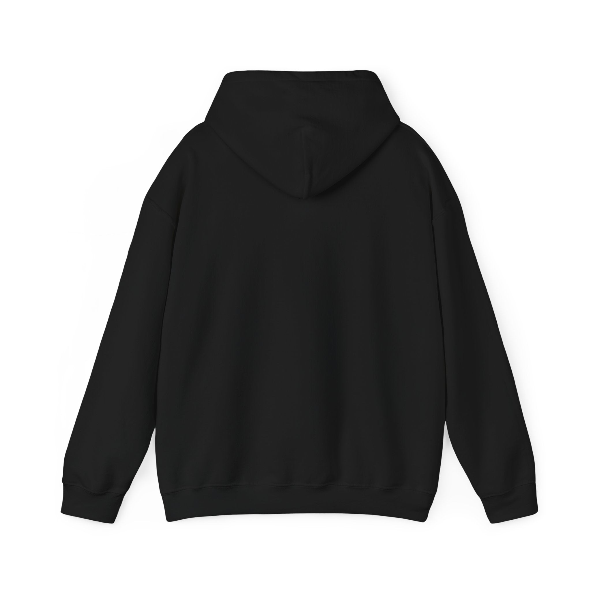 'Life Sounds Better on Vinyl' Men's Hoodie