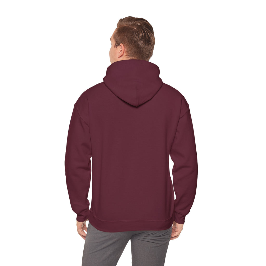 'Vinyl Records Are Groovy' Men's Hoodie