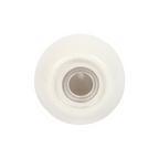 Clam Shell Salt and Pepper Shakers