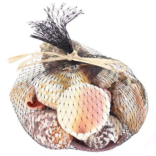 350grms Shells in Black Net | Inspired Creative Gifts | UK Supplier