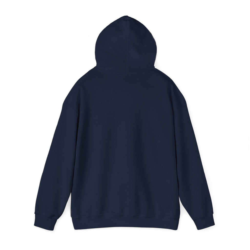 'Money Can't Buy Happiness, But It Can Buy Vinyl' Men's Hoodie