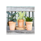 Bloom Where You Are Planted Terracotta Plant Pot