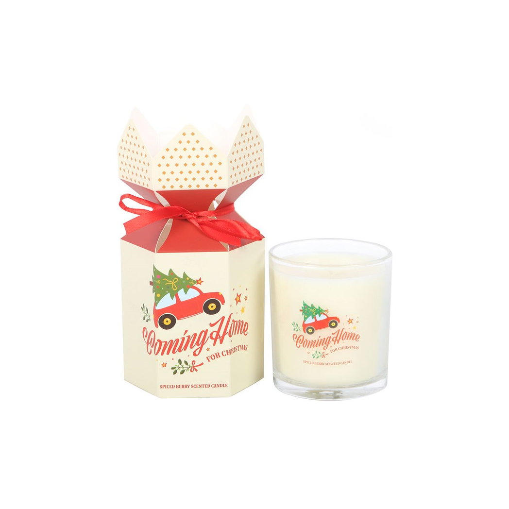 Coming Home for Christmas Spiced Berry Candle | Candles