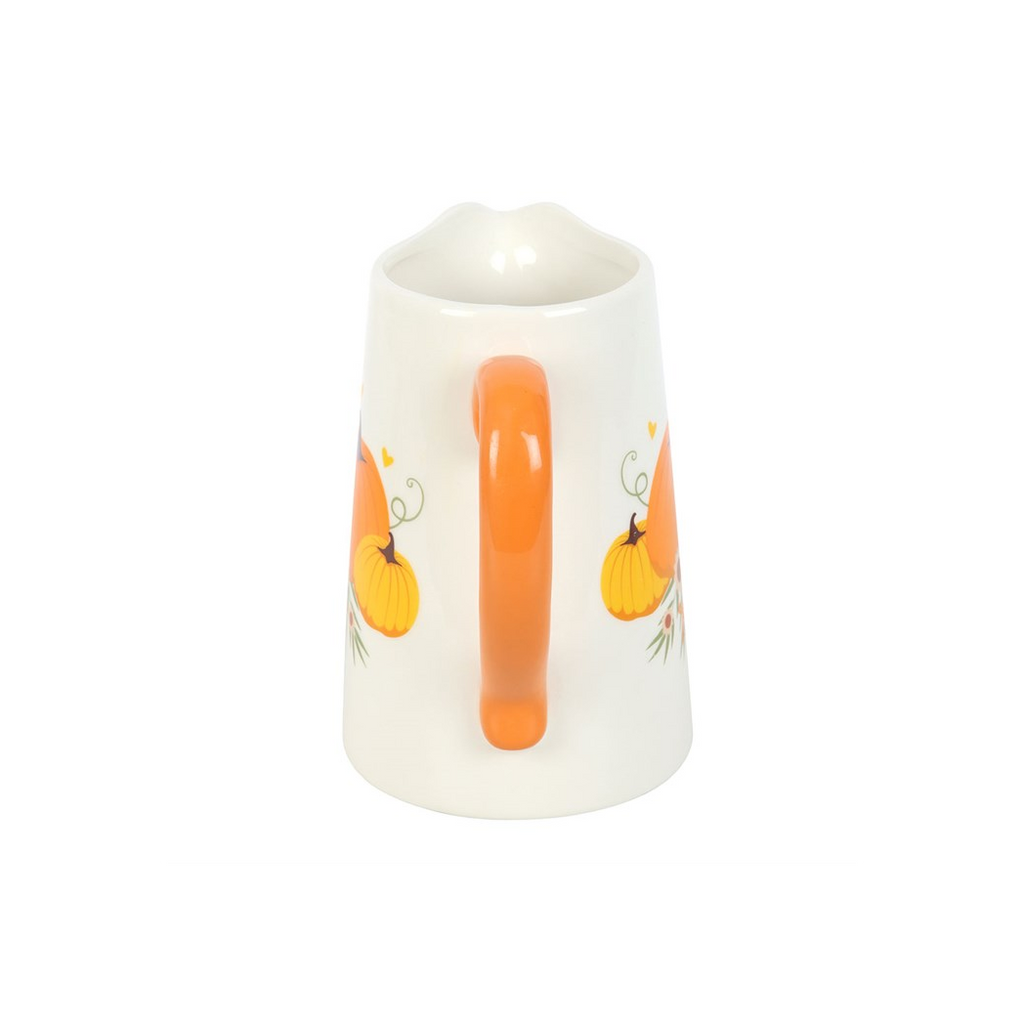 Autumn Pumpkin Ceramic Flower Jug | Vases