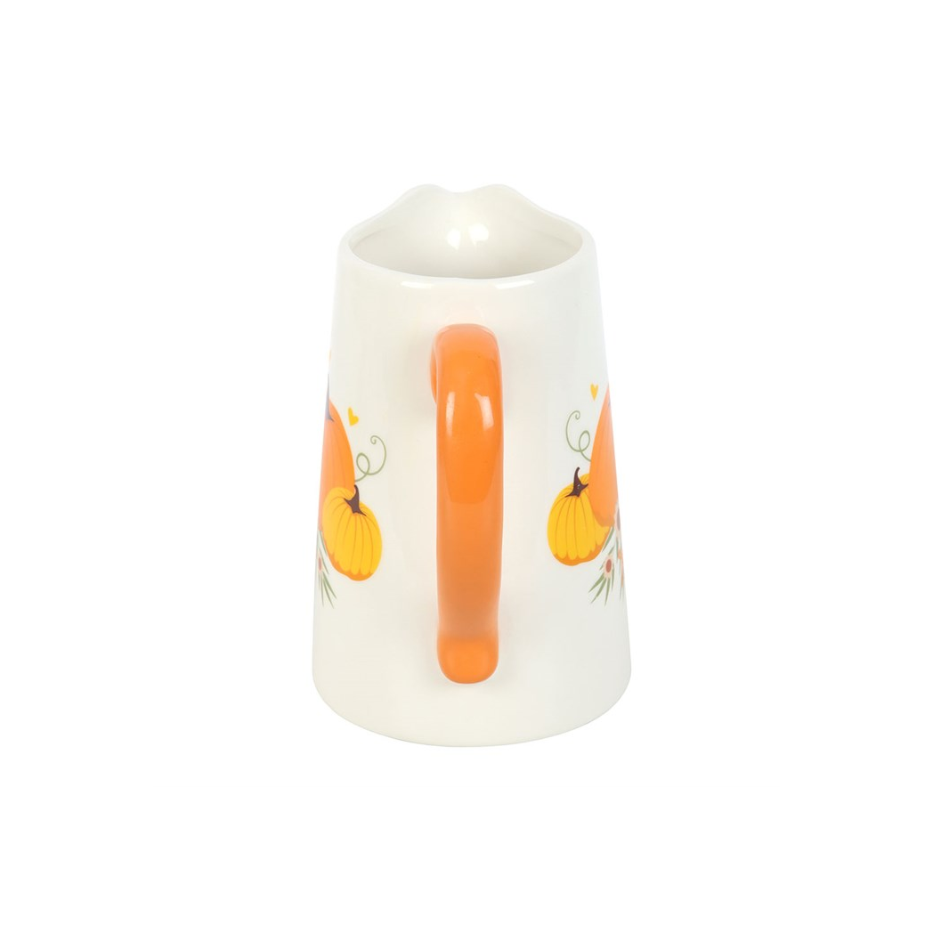 Autumn Pumpkin Ceramic Flower Jug | Vases