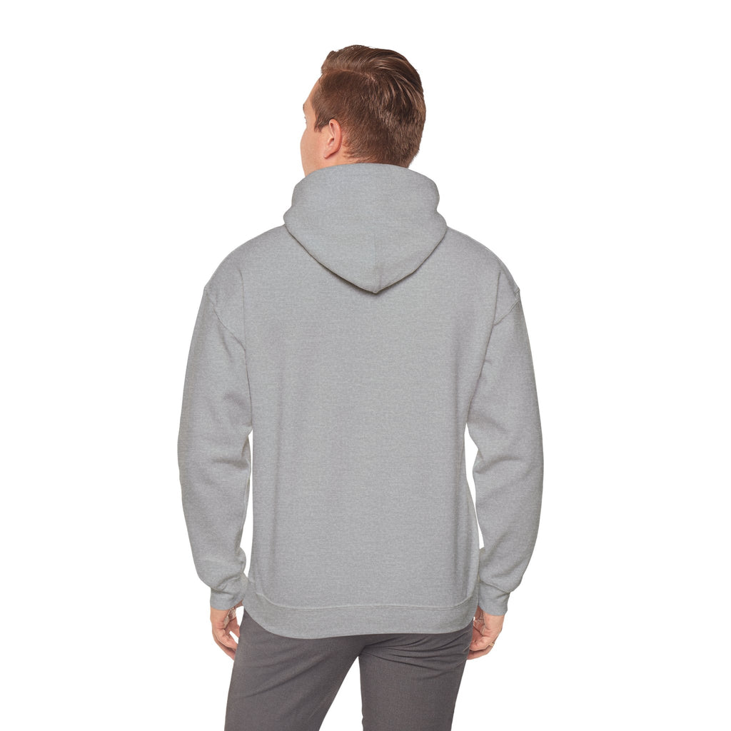 'Just for the Record' Men's Hoodie