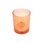 Autumn Wishes Pumpkin Pie Candle