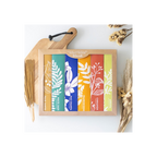 Exotic Botanical Masala Incense Stick Variety Set | Incense Sticks & Cones | Inspired Creative Gifts