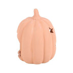9cm Terracotta Pumpkin Tealight Holder | Inspired Creative Gifts | UK Supplier