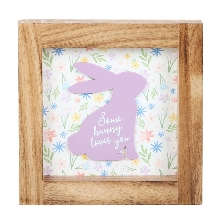 Some Bunny Loves You Wooden Frame Sign - Wall Art - Inspired Creative Gifts