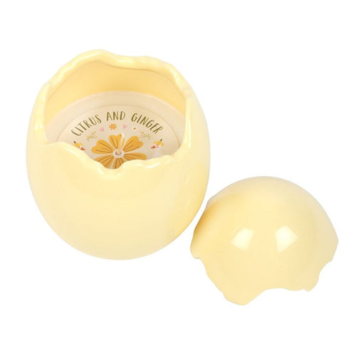 Citrus & Ginger Egg Shaped Candle |  | Inspired Creative Gifts
