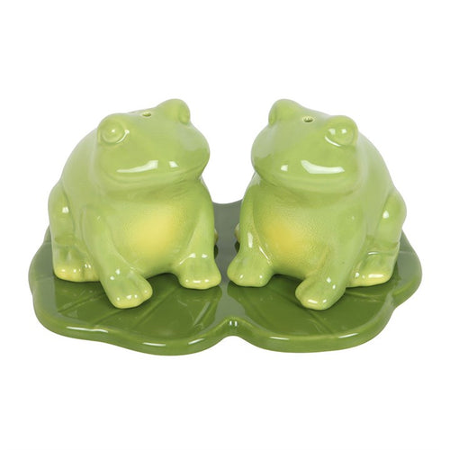 Luna Frog Salt and Pepper Shakers | Inspired Creative Gifts