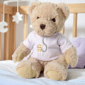 Personalised Luxury Teddy Bear with Little Tiger Name T-Shirt | Baby Gifts | Inspired Creative Gifts