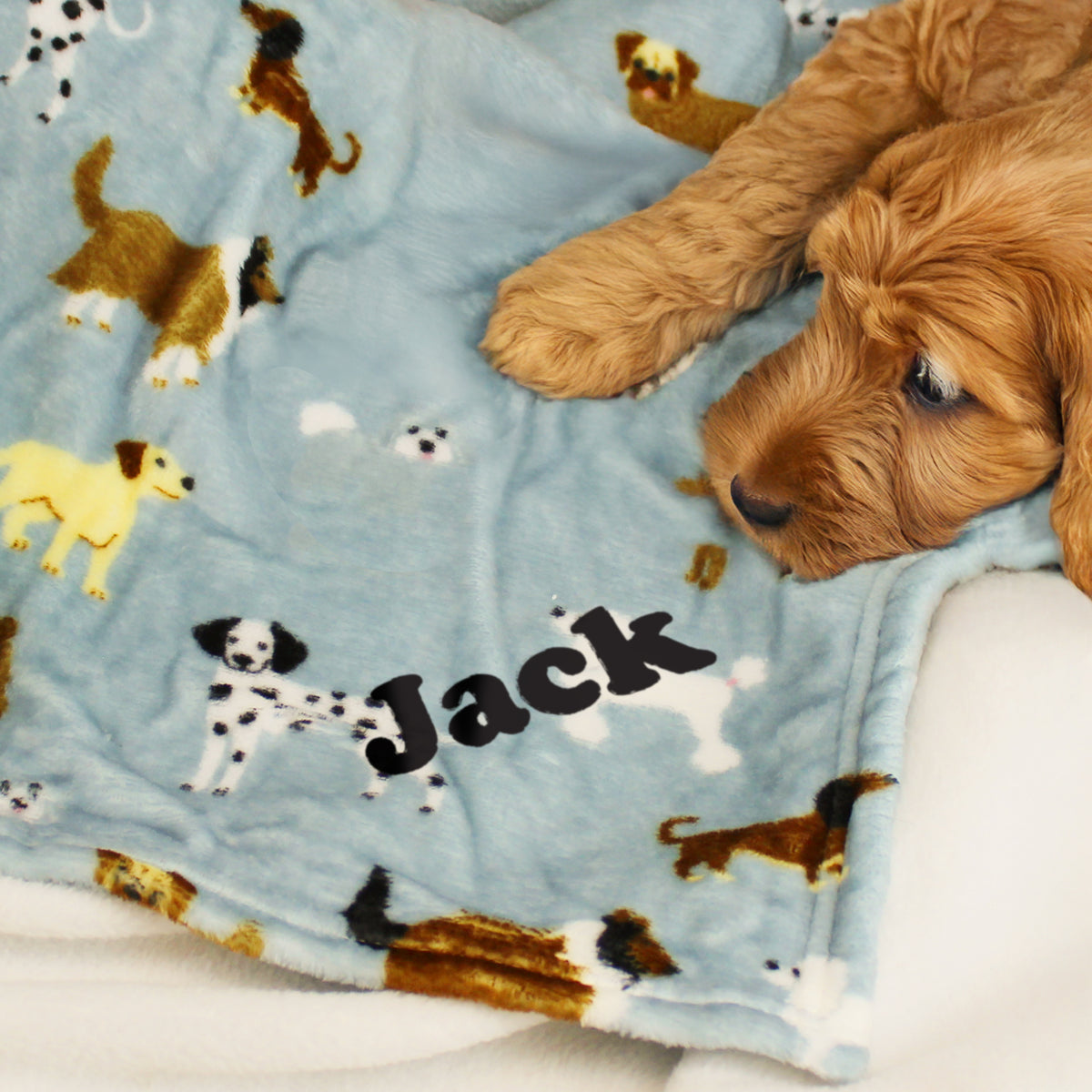 Personalised Dog Paw Print Fleece Blanket | Pet Gifts | Inspired Creative Gifts
