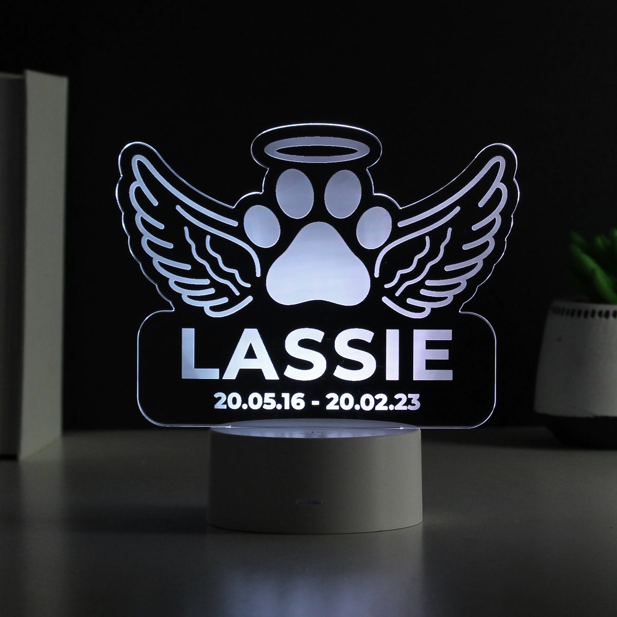 Personalised Pet Memorial Colour Changing LED Light for Memorial