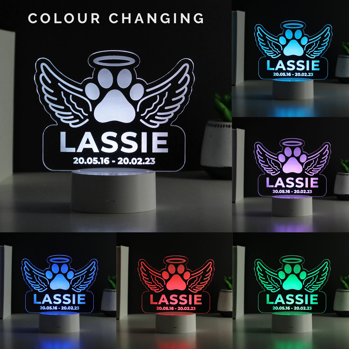 Personalised Pet Memorial Colour Changing LED Light for Memorial