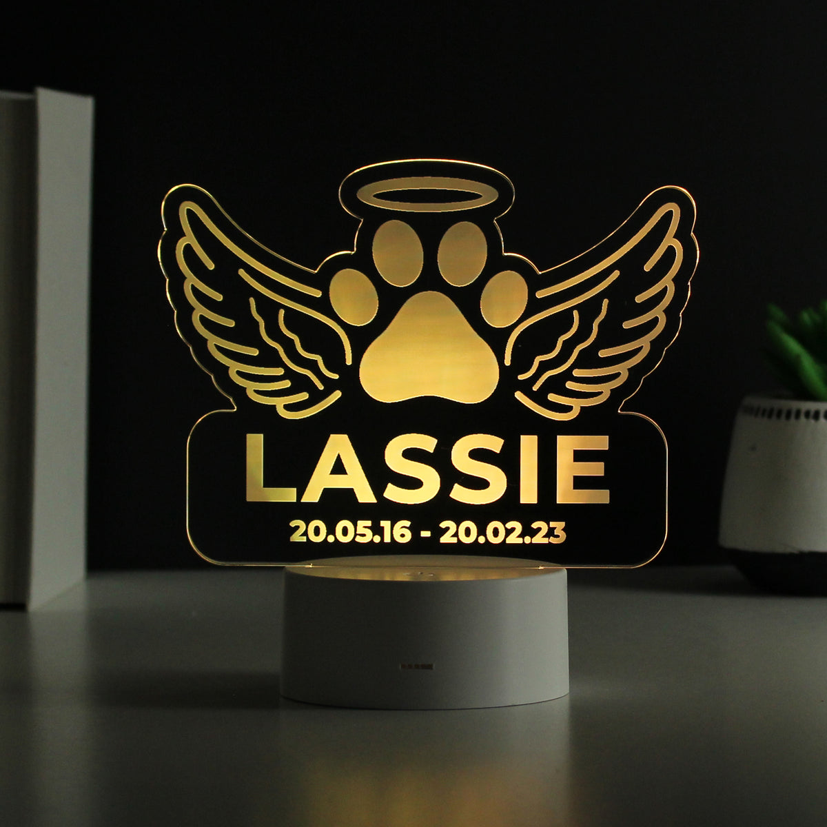 Personalised Pet Memorial Colour Changing LED Light for Memorial
