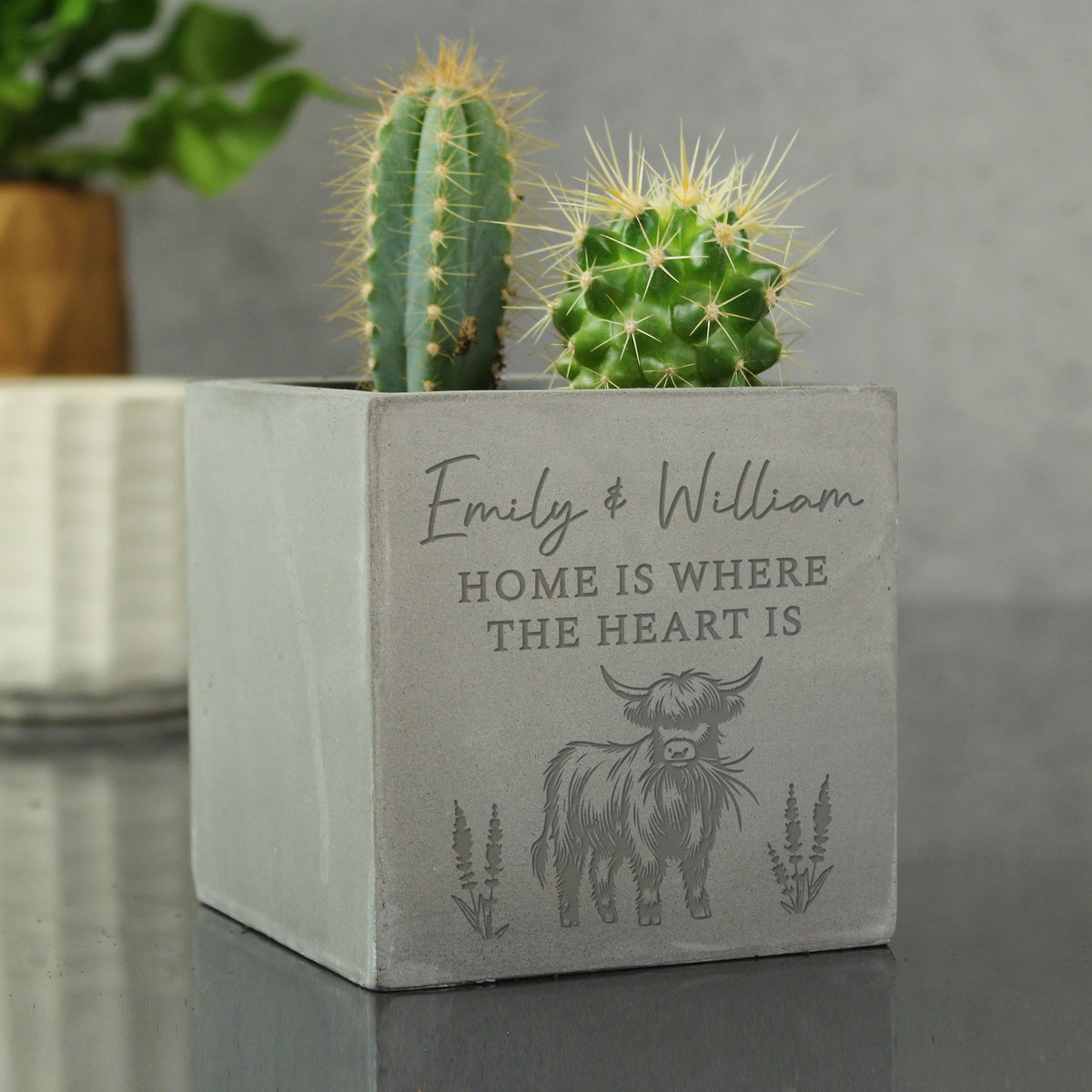 Personalised Highland Cow Concrete Plant Pot | Vases | Inspired Creative Gifts