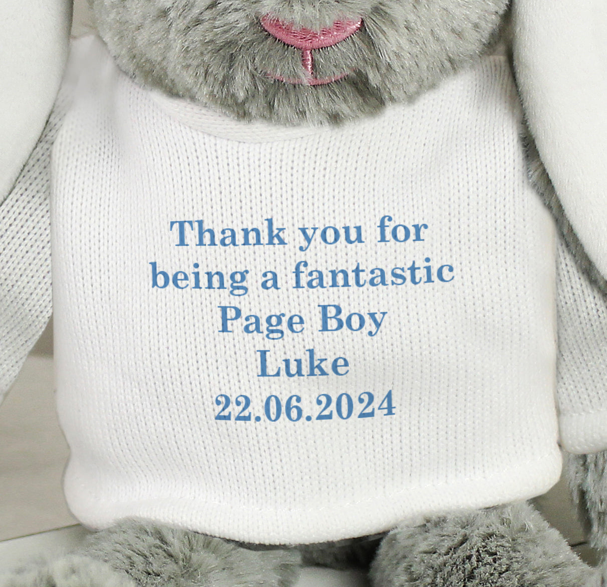 Personalised Message Bunny Rabbit - Blue - Plush Soft Toy - Inspired Creative Gifts